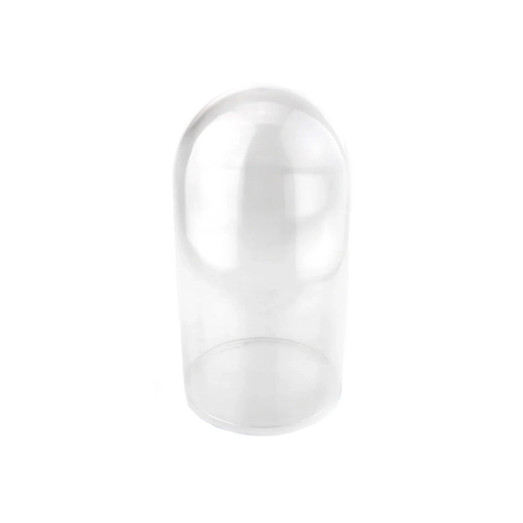 Plastic Dome Display Case, Clear Base