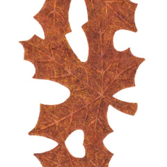 Fall Leaves Felt Cutout Ribbon, Brown, 1-1/2-inch, 10-yard