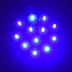 LED Submersible Base Lights, 1-1/2-Inch, 12-Count