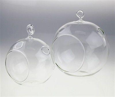 Clear Glass Terrarium Air Plant Candle Holder, With Loop