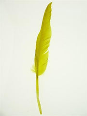 Duck Feather Decorative, 14-inch, 10-count