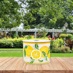 Spring Big Fresh Lemons Wired Ribbon, 2-1/2-inch, Yellow/White/Green, 10-yard