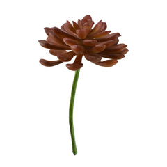 Artificial Soft Touch Baby Aeonium Pick, 6-inch