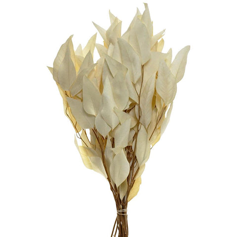 Dried Natural Eucalyptus Willow Bundle