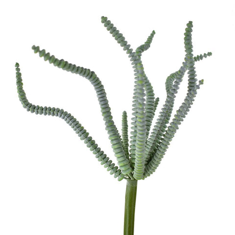 Artificial Princess Pine Succulent Stem, Green, 10-Inch