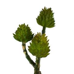 Artificial 3-Branch Succulent Set, 7-1/2-Inch