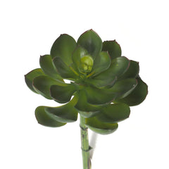 Artificial Spread Out Succulent, 7-Inch