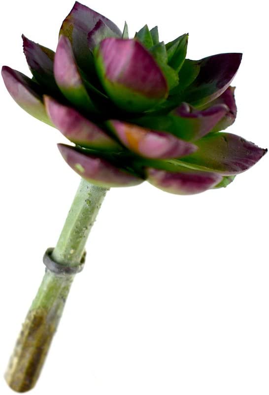 Artificial Hens and Chicks Succulent Stem, 5-inch