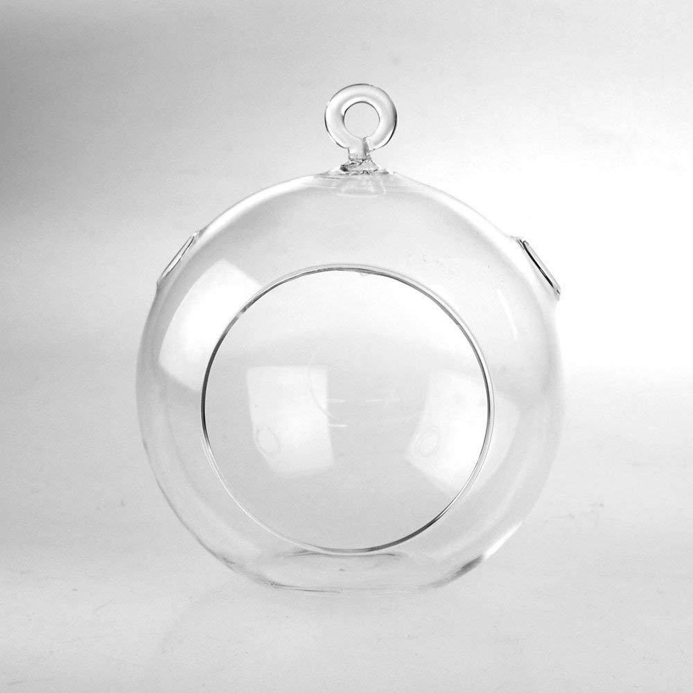 6-Pack, Hanging Globe Glass Terrarium Air Plant Candle Holder, 5-inch, with Hook