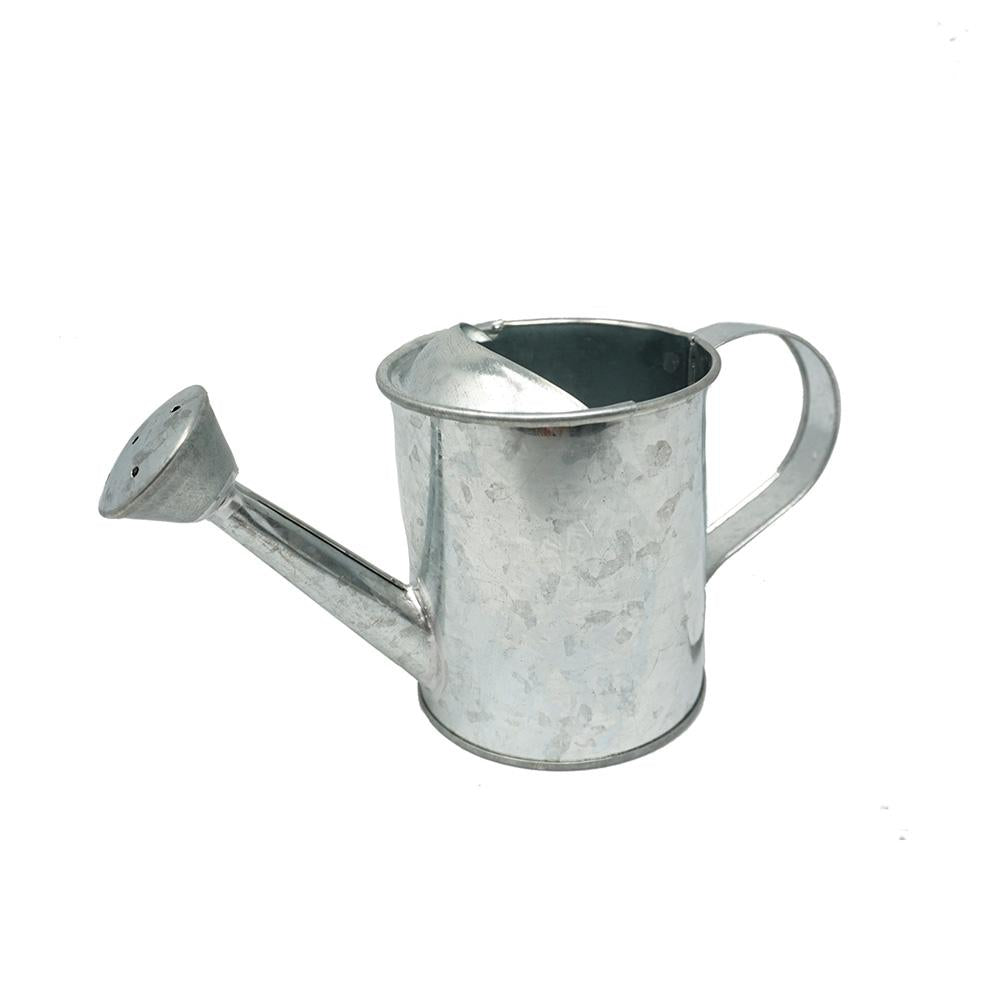 Mini Galvanized Metal Watering Can, 3-3/4-Inch