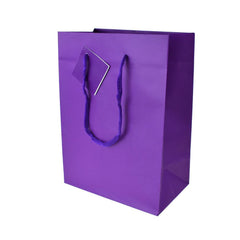 Solid Colored Matte Gift Bags with Tag, 9-1/2-Inch