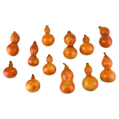 Artificial Bagged Bottle Gourd Fall Decor, Assorted Sizes, 12-Piece