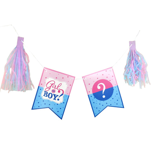 Gender Reveal Banner Tassel Party Banner, 10-Feet