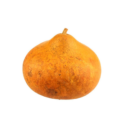 Dried Miniature Natural Bushel Gourd