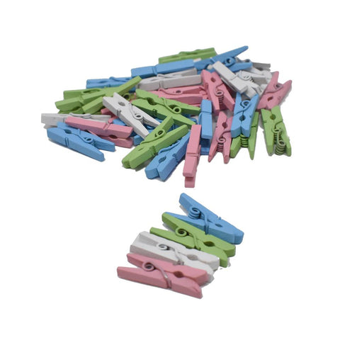 Mini Wood Clothespin Assortment, Pastel, 1-Inch, 40-Piece