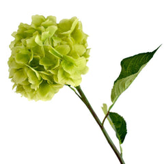 Tall Silk Hydrangea Stem Flower,  34-Inch