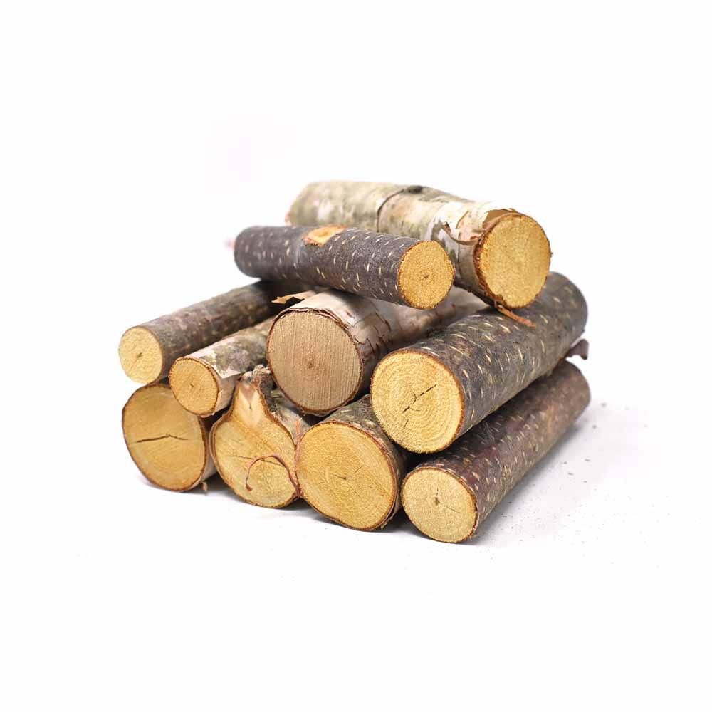 Assorted Birch Mini Logs, Natural, 10-Piece