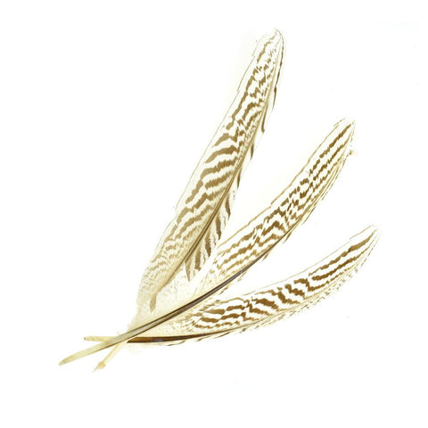 Long Loose Striped Quill Feathers, Ivory, 3-Piece