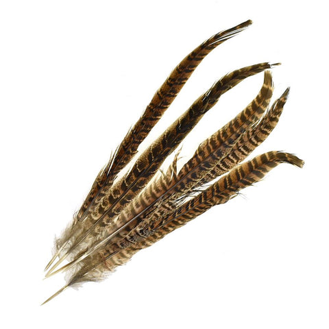 Long Loose Striped Quill Feathers, Brown, 5-Piece