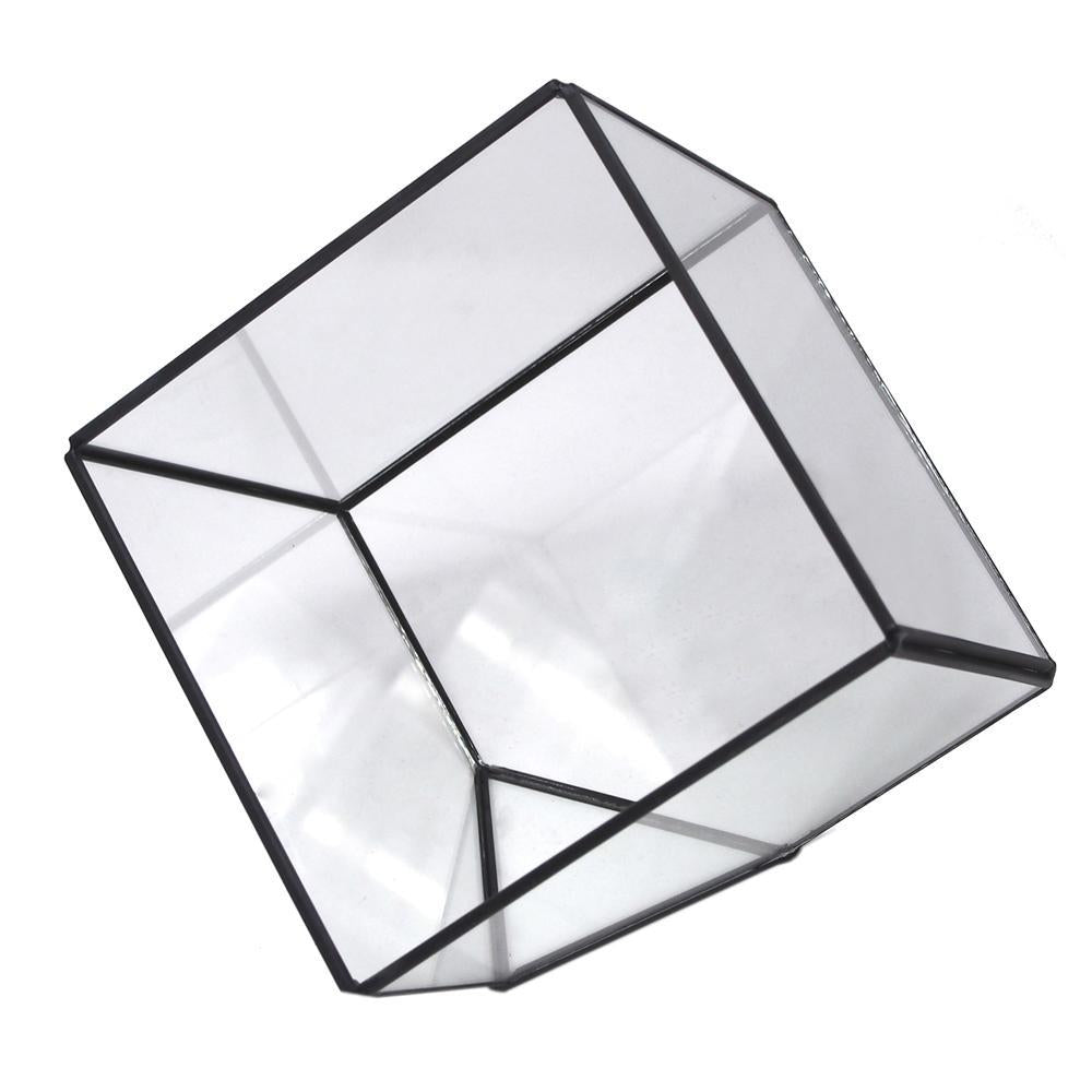 Black Geometric Glass Terrarium Display Box, Tilted Cube, 6-Inch