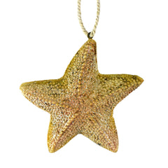 Sand Dollar and Starfish Glitter Christmas Ornaments, 3-1/4-Inch, 2-Piece