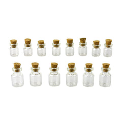 Mini Glass Bottles with Cork Lid