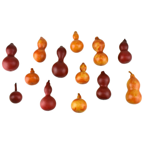 Artificial Bagged Bottle Gourd Fall Decor, Assorted Sizes, 12-Piece
